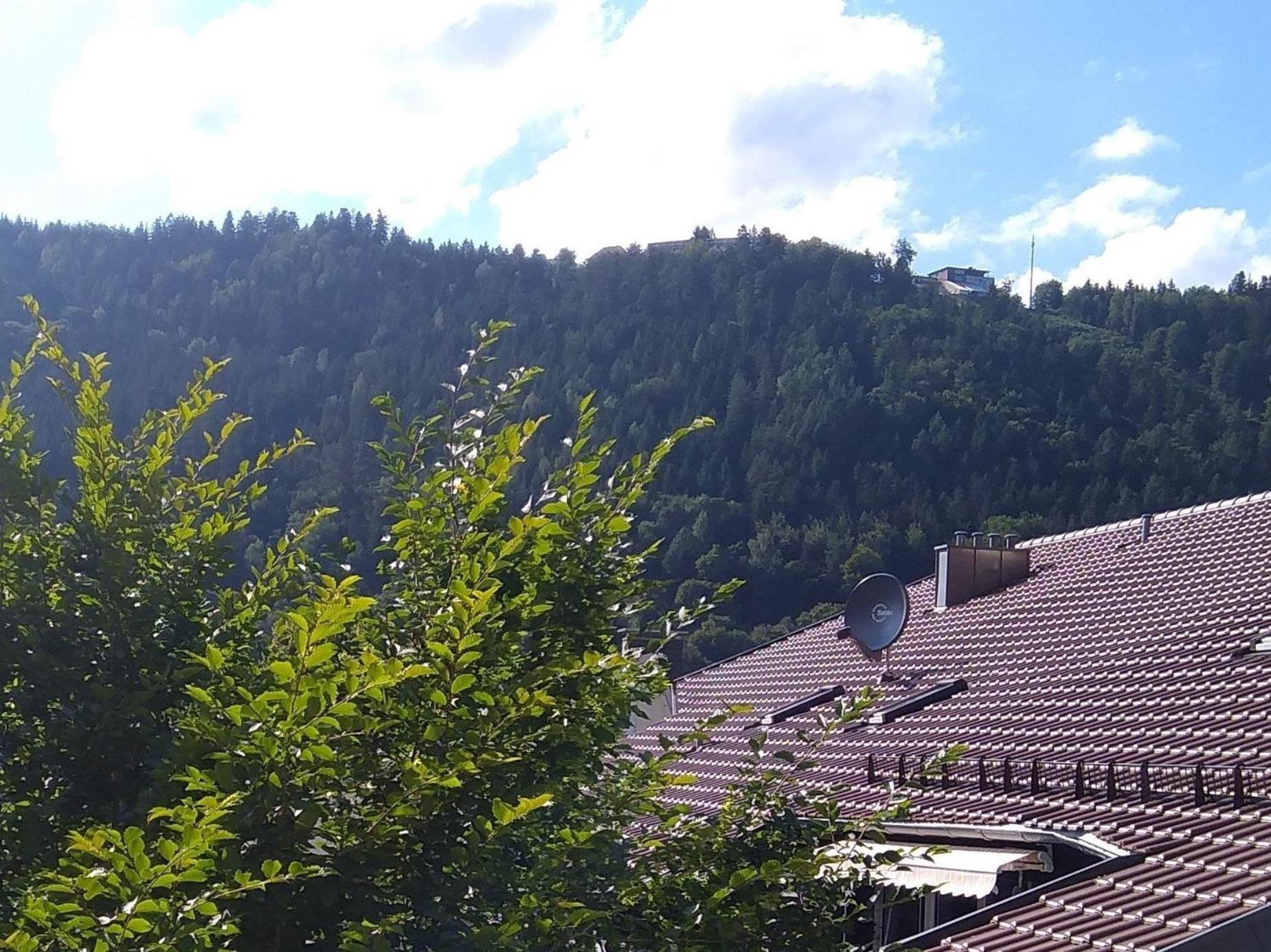 Ferienwohnung Tannenwald バート・ヴィルトバート エクステリア 写真