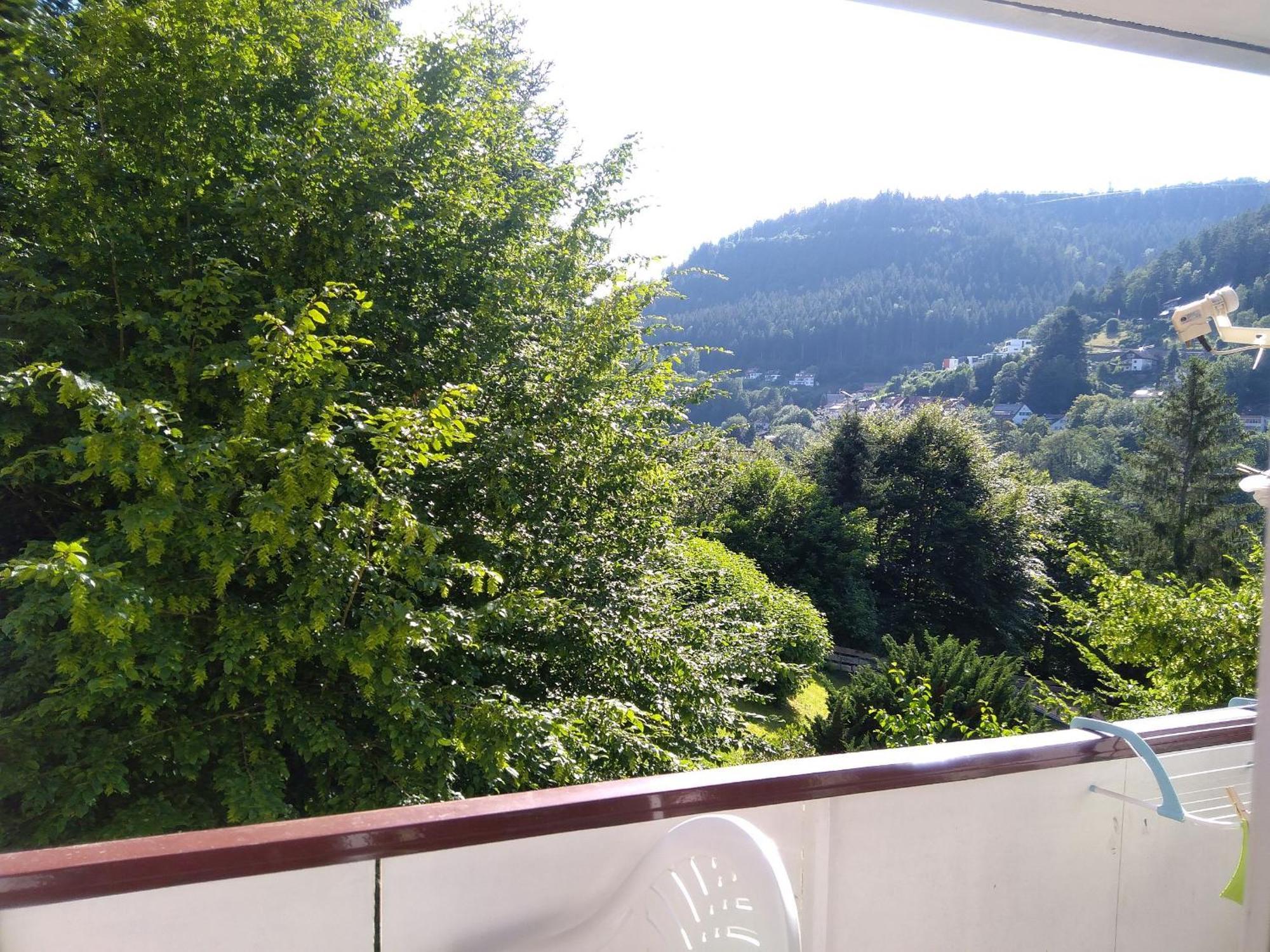 Ferienwohnung Tannenwald バート・ヴィルトバート エクステリア 写真